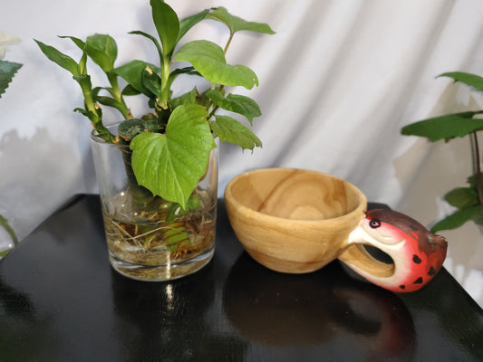 Hand Carved Cup Scandinavian Kuksa Wooden Mug Camping Gear Coffee Cup Kuksa Guksi Kuksa Wild Boar Cups Christmas