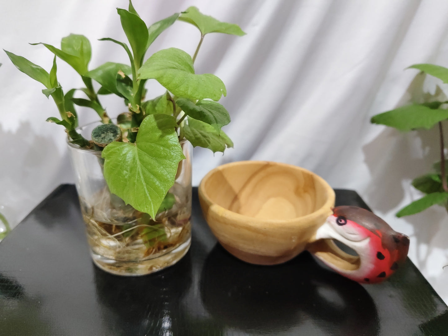 Hand Carved Cup Scandinavian Kuksa Wooden Mug Camping Gear Coffee Cup Kuksa Guksi Kuksa Wild Boar Cups Christmas